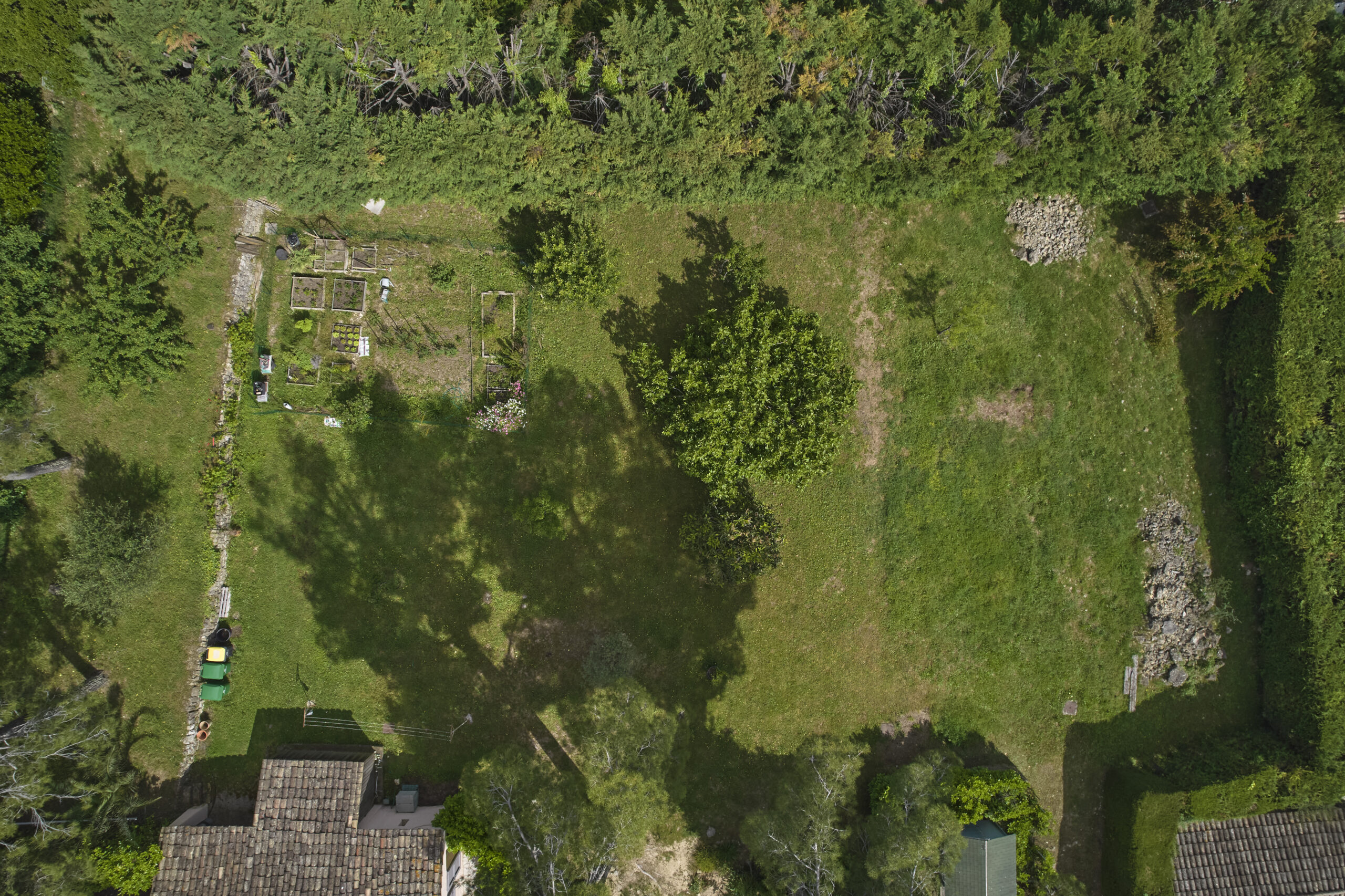 240525T-OLIV-OP-510RiouMerlet-CA-4